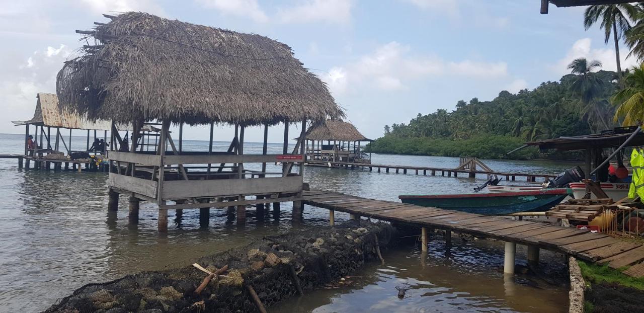 Rainforest Lodge Del Rio Portobelo Εξωτερικό φωτογραφία