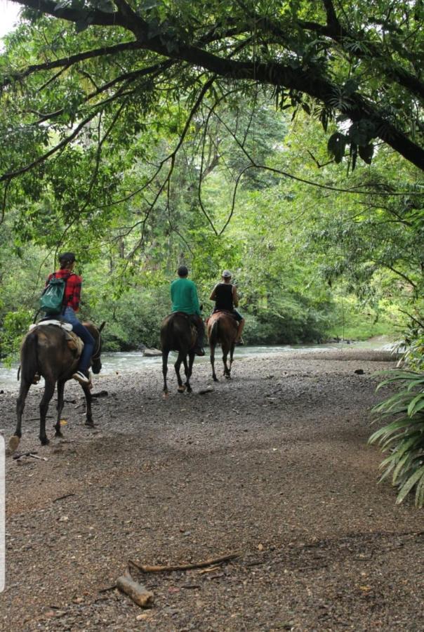Rainforest Lodge Del Rio Portobelo Εξωτερικό φωτογραφία