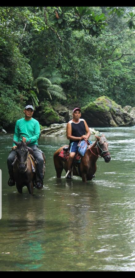 Rainforest Lodge Del Rio Portobelo Εξωτερικό φωτογραφία