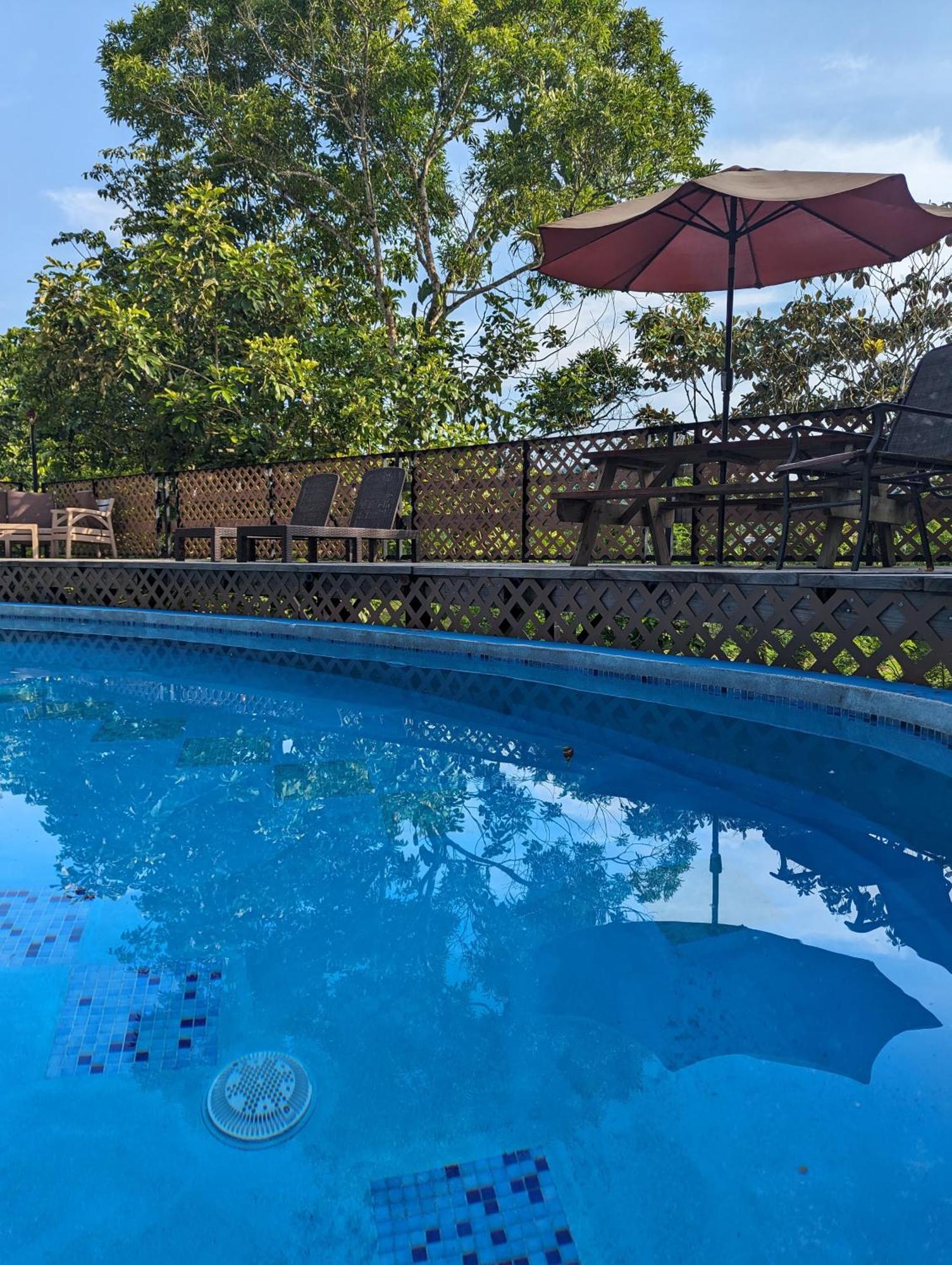 Rainforest Lodge Del Rio Portobelo Εξωτερικό φωτογραφία